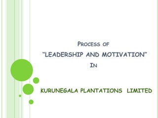 Process of “LEADERSHIP AND MOTIVATION”In KURUNEGALA PLANTATIONS  LIMITED 