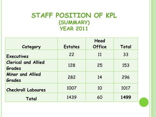 STAFF POSITION OF KPL(SUMMARY)YEAR 2011<br />