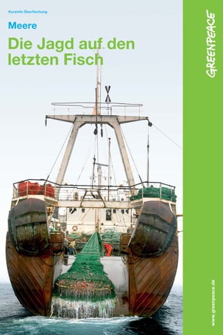 Kurzinfo Überﬁschung



Meere

Die Jagd auf den
letzten Fisch




                       www. greenpeace . de
 