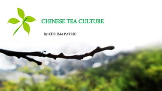 CHINESE TEA CULTURE
By KUSIIMA PATRIC
 