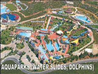 AQUAPARKS (WATER SLIDES, DOLPHINS) 