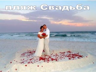 пляж Свадьба 