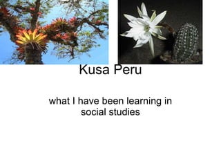 Kusa Peru what I have been learning in social studies 