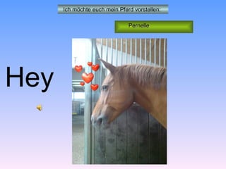 Ich möchte euch mein Pferd vorstellen:

                                     Pernelle




Hey

                 .. course I love you !!!
 
