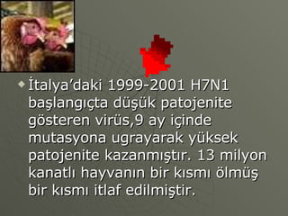İtalya’daki 1999-2001 H7N1 başlangıçta düşük patojenite gösteren virüs,9 ay içinde mutasyona ugrayarak yüksek patojenite kazanmıştır. 13 milyon kanatlı hayvanın bir kısmı ölmüş bir kısmı itlaf edilmiştir. 