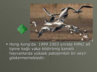 Hong Kong’da  1999 2003 yılında H9N2 alt tipine bağlı vaka bildirilmiş kanatlı hayvanlarda yüksek patojeniteli bir seyir göstermemektedir. 