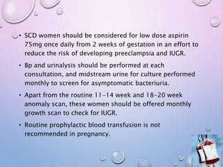 • SCD women should be considered for low dose aspirin
75mg once daily from 2 weeks of gestation in an effort to
reduce the risk of developing preeclampsia and IUGR.
• Bp and urinalysis should be performed at each
consultation, and midstream urine for culture performed
monthly to screen for asymptomatic bacteriuria.
• Apart from the routine 11-14 week and 18-20 week
anomaly scan, these women should be offered monthly
growth scan to check for IUGR.
• Routine prophylactic blood transfusion is not
recommended in pregnancy.
 
