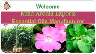 Kush Aroma Exports
 
