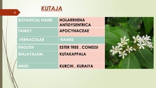 presentation on the plant KUTAJA ( holarrhena antidysentrica) | PPTX