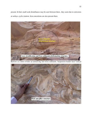 22
present. In bed, small scale disturbances may be seen between them , they seem due to omissions
at surface, cyclic rotation. Iron concretions are also present there.
Burrows as a hole or holes an animal dug into loose sediments. Suspension feeders have vertical
 