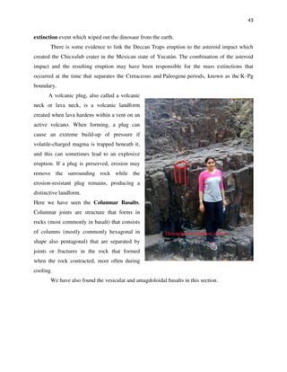 43
extinction event which wiped out the dinosaur from the earth.
There is some evidence to link the Deccan Traps eruption to the asteroid impact which
created the Chicxulub crater in the Mexican state of Yucatán. The combination of the asteroid
impact and the resulting eruption may have been responsible for the mass extinctions that
occurred at the time that separates the Cretaceous and Paleogene periods, known as the K–Pg
boundary.
A volcanic plug, also called a volcanic
neck or lava neck, is a volcanic landform
created when lava hardens within a vent on an
active volcano. When forming, a plug can
cause an extreme build-up of pressure if
volatile-charged magma is trapped beneath it,
and this can sometimes lead to an explosive
eruption. If a plug is preserved, erosion may
remove the surrounding rock while the
erosion-resistant plug remains, producing a
distinctive landform.
Here we have seen the Columnar Basalts.
Columnar joints are structure that forms in
rocks (most commonly in basalt) that consists
of columns (mostly commonly hexagonal in
shape also pentagonal) that are separated by
joints or fractures in the rock that formed
when the rock contracted, most often during
cooling.
We have also found the vesicular and amagdoloidal basalts in this section.
 