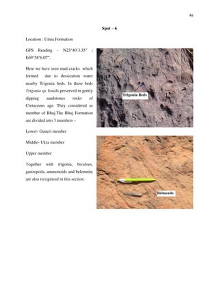 46
Spot – 6
Location : Umia Formation
GPS Reading – N23°40’3.35” ;
E69°58’6.07”.
Here we have seen mud cracks which
formed due to dessication water
nearby Trigonia beds. In these beds
Trigonia sp. fossils preserved in gently
dipping sandstones rocks of
Cretaceous age. They considered as
member of Bhuj.The Bhuj Formation
are divided into 3 members –
Lower- Guneri member
Middle- Ukra member
Upper member
Together with trigonia, bivalves,
gastropods, ammonoids and belemnite
are also recognised in this section.
 
