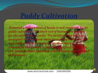 Kuttanad real presentation | PPT