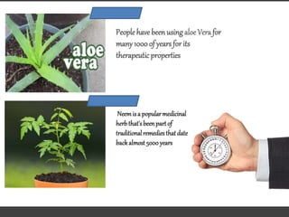 People havebeen using aloe Verafor
many1000 of yearsfor its
therapeutic properties
Neemisa popularmedicinal
herbthat'sbeenpartof
traditionalremediesthatdate
backalmost5000 years
 