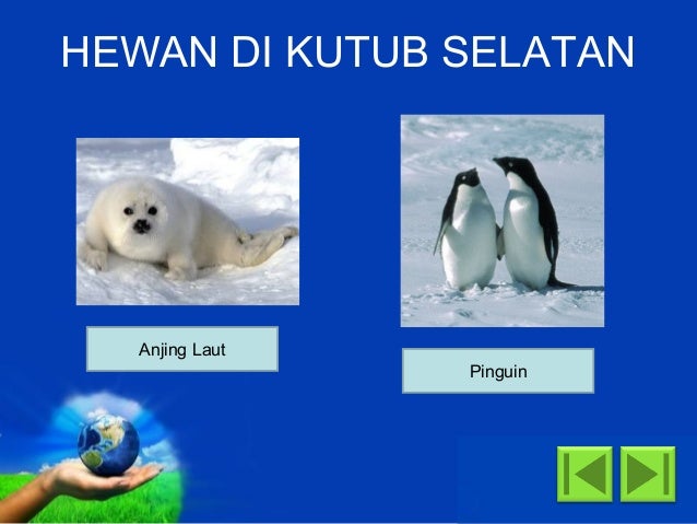 39+ Orang Eskimo Tinggal Di Kutub Background