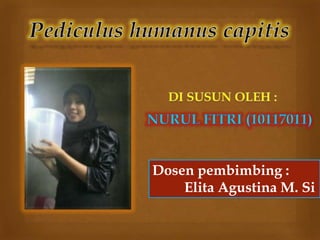 Dosen pembimbing :
    Elita Agustina M. Si
 