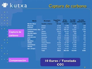 Captura de carbono 10 Euros / Tonelada CO2 Captura de carbono Compensación 
