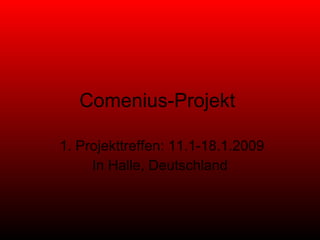 Comenius-Projekt  1. Projekttreffen: 11.1-18.1.2009 In Halle, Deutschland 