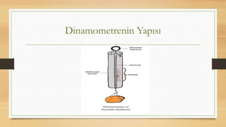 Dinamometrenin Yapısı
 