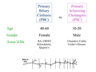 Autoimmune Liver Disease - Kuwait | PPT