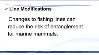 Innovations in Agri-Fishery: Enhancing Productivity and Sustainability ...