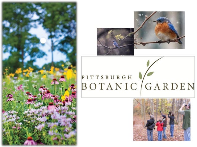 Kitty Vagley Pittsburgh Botanic Garden Reclamation At The Pittsbur