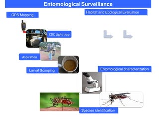 Spatial risk assessment of Rift Valley Fever potential outbreaks using a vector surveillance system in Kenya