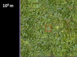 1021 m105 SVĚTELNÝCH LET