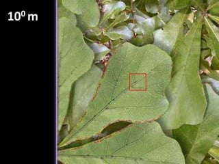 1022 m106 SVĚTELNÝCH LET