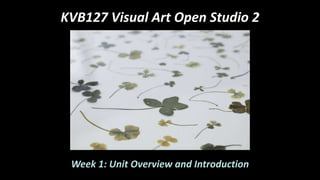 KVB127 Visual Art Open Studio 2
Week 1: Unit Overview and Introduction
 