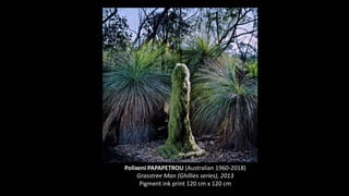 Polixeni PAPAPETROU (Australian 1960-2018)
Grasstree Man (Ghillies series), 2013
Pigment ink print 120 cm x 120 cm
 