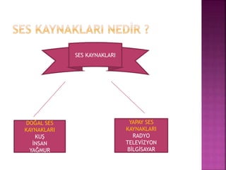 SES KAYNAKLARI
DOĞAL SES
KAYNAKLARI
KUŞ
İNSAN
YAĞMUR
YAPAY SES
KAYNAKLARI
RADYO
TELEVİZYON
BİLGİSAYAR
 