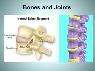 Bones and Joints
 