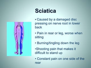 Sciatica
• Caused by a damaged disc
pressing on nerve root in lower
back
• Pain in rear or leg, worse when
sitting
• Burning/tingling down the leg
•Shooting pain that makes it
difficult to stand up
• Constant pain on one side of the
rear
 
