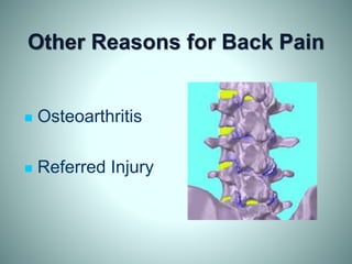 Other Reasons for Back Pain
 Osteoarthritis
 Referred Injury
 