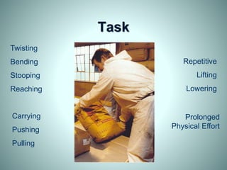 Task
Twisting
Bending
Stooping
Reaching
Carrying
Pushing
Pulling
Repetitive
Lifting
Lowering
Prolonged
Physical Effort
 