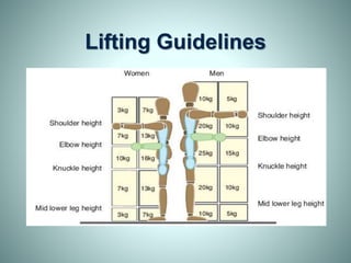 Lifting Guidelines
 
