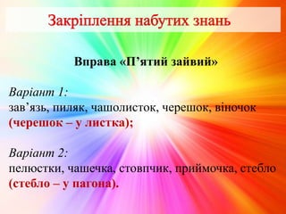 Вправа «П’ятий зайвий»
Варіант 1:
зав’язь, пиляк, чашолисток, черешок, віночок
(черешок – у листка);
Варіант 2:
пелюстки, чашечка, стовпчик, приймочка, стебло
(стебло – у пагона).
 