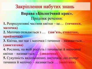 Вправа «Біологічний крос».
Продовж речення:
1. Репродуктивні частини квітки – це… (тичинки,
маточка)
2. Маточка складається з … (зав’язь, стовпчик,
приймочка)
3. Квітка, що має і маточки і тичинки – називається…
(двостатева)
4. Рослина, на якій ростуть і тичинкові й маточкові
квітки – називається … (дводомна)
5. Сукупність видозмінених листочків, що оточує
тичинки й маточку – називається … (оцвітина)
 