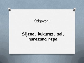 Odgovor :
Sijeno, kukuruz, sol,
narezana repa
 