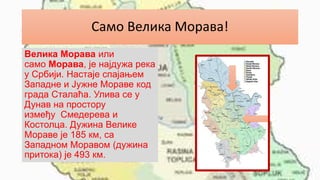 Само Велика Морава!
Велика Морава или
само Морава, је најдужа река
у Србији. Настаје спајањем
Западне и Јужне Мораве код
града Сталаћа. Улива се у
Дунав на простору
између Смедерева и
Костолца. Дужина Велике
Мораве је 185 км, са
Западном Моравом (дужина
притока) је 493 км.
 