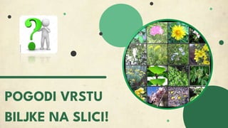 POGODI VRSTU
BILJKE NA SLICI!
 
