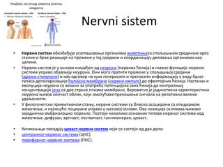 Nervni sistem
• Нервни систем обезбеђује усаглашавање организма животињеса спољашњом средином кроз
сталне и брзе реакције на промене у тој средини и координацију деловања организма као
целине.
• Нервни систем је у основи изграђен од неурона (нервних ћелија) и главне функције нервног
система управо обављају неурони. Они могу пратити промене у спољашњој средини
(дражи,стимулуси) и као одговор на њих генерисати и преносити информацију у виду брзог
таласа деполаризације ћелијске мембране (нервни импулс) до ефекторних ћелија. Настанак и
еволуција неурона су везани за употребу потенцијала свих ћелија да контролишу
концентрације јона са две стране плазма мембране. Вероватно је јединствена карактеристика
неурона њихов кончаст облик, који омогућава преношење сигнала на релативно велике
удаљености.
• У филогенетски примитивном стању, нервни системи су блиско асоцирани са епидермом
животиња, и најчешће лоцирани управо у његовој основи. Ова позиција осликава њихово
заједничко ембриолошко порекло. Постоји неколико основних типова нервног система код
животиња: дифузан, врпчаст, лествичаст, ганглионеран, цеваст.
• Кичмењаци поседују цеваст нервни систем који се састоји од два дела:
• централног нервног система (ЦНС)
• периферног нервног система (ПНС).
 
