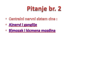 Квиз Анастасија Јевтић 2016.