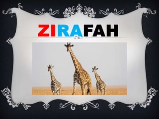 ZIRAFAH
 