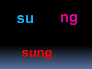 su ng
sung
 