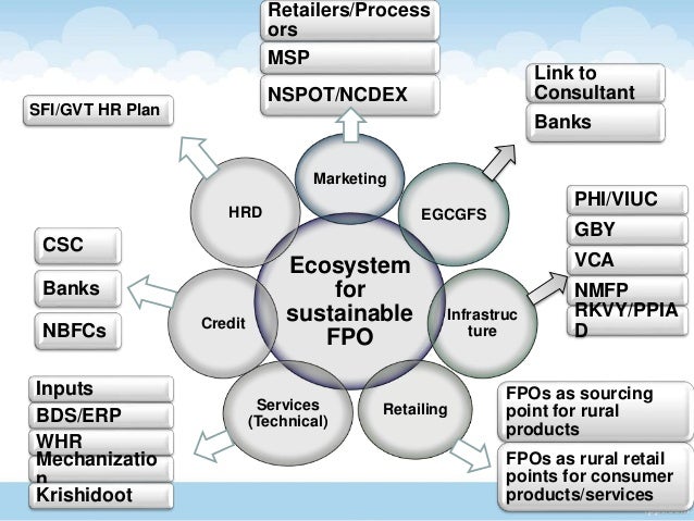 Opportunities For Farmer Producers Organizations In Tamil Nadu