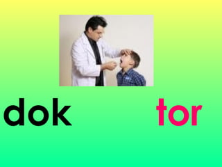 dok tor
 