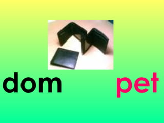 dom pet
 