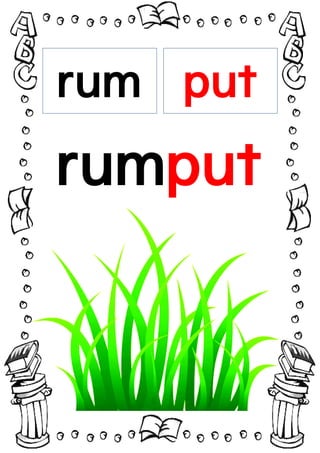 rum put
rumput